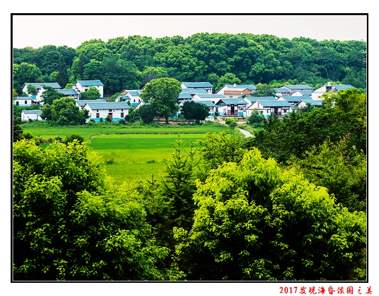 自然风光类-绿树环抱的村庄(南昌新建区铁河)-李良吉摄-0791 88653659.jpg
