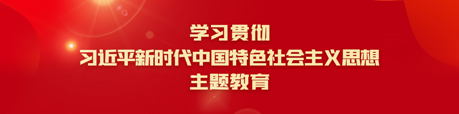 学习贯彻习近平新时代中国特色社会主义思想主题教育