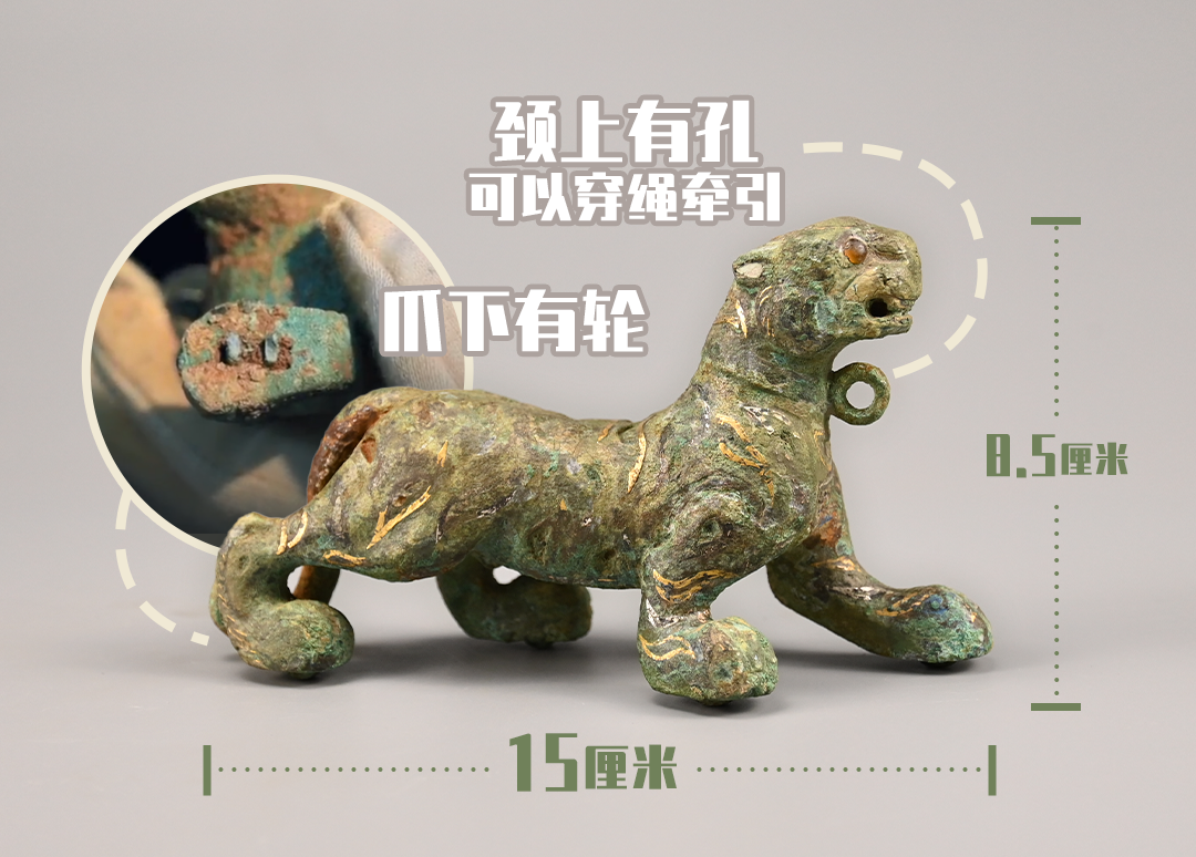 图片7