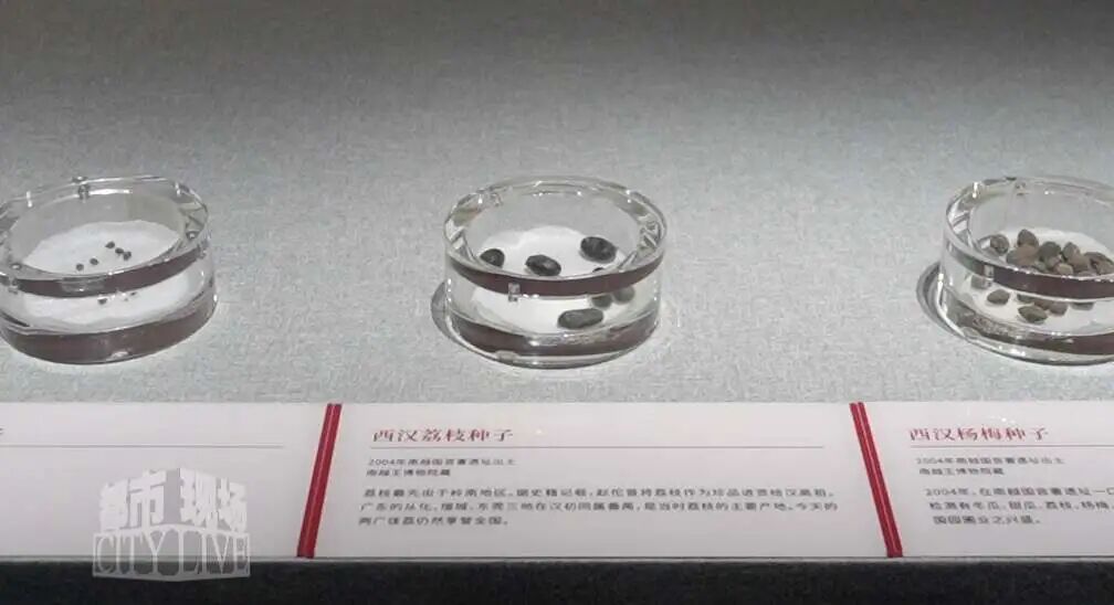 微信图片_20250928093035.jpg