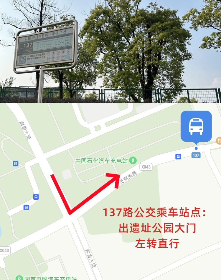 图片5