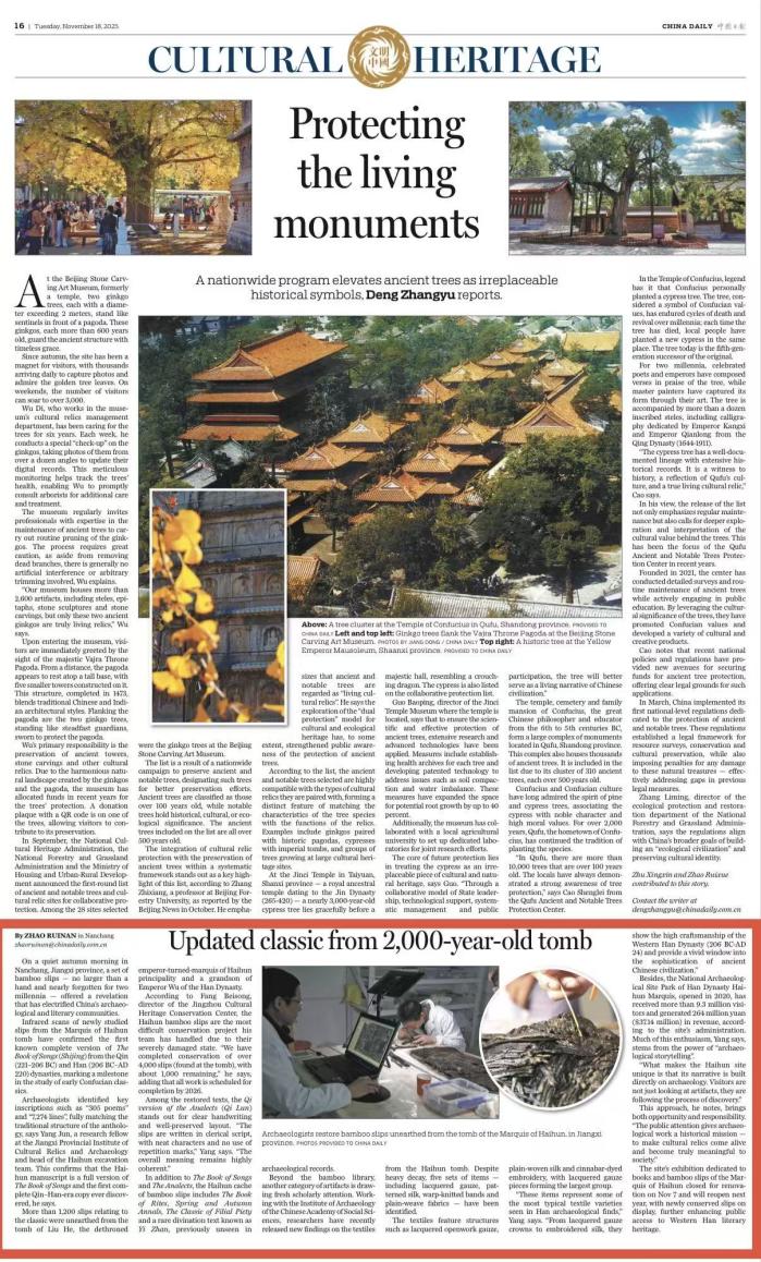 中国日报20251116