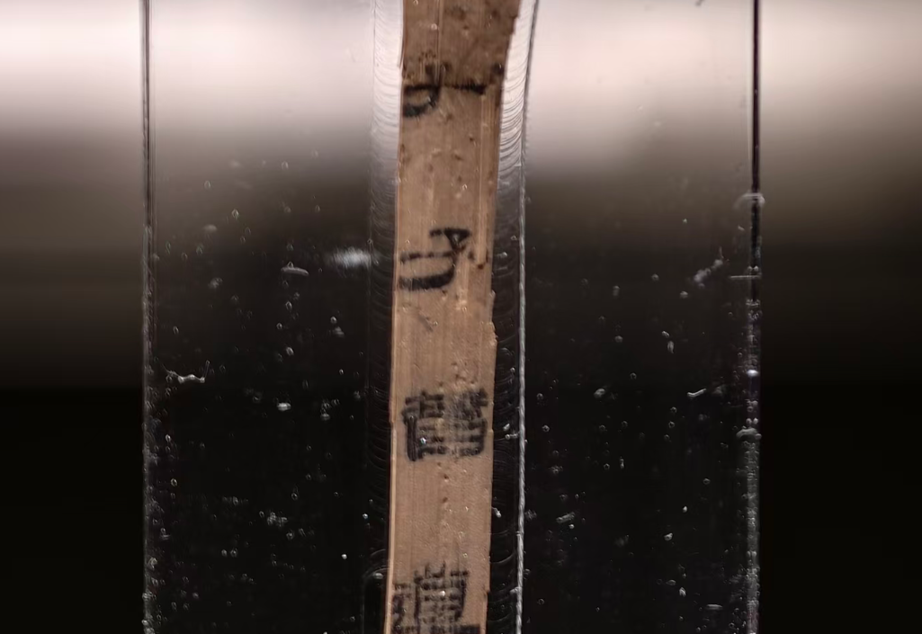 江南都市报：海昏侯墓中两千年的&ldquo;顶流&rdquo;书单亮相：齐《论语》、秦汉全本《诗经》首度同台